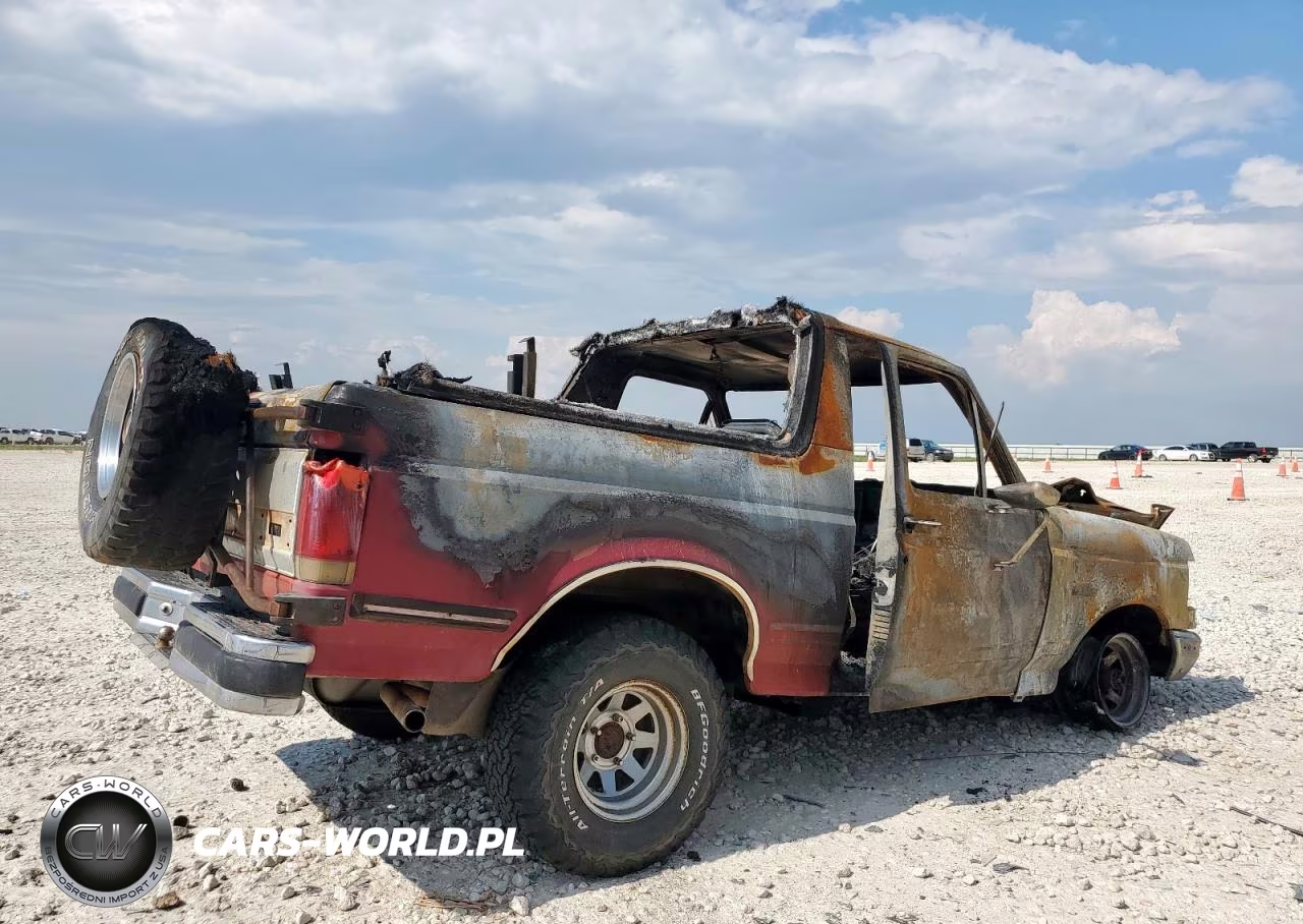 1989 Ford Bronco U100 VIN:1FMEU15N4KLA06692 - 3