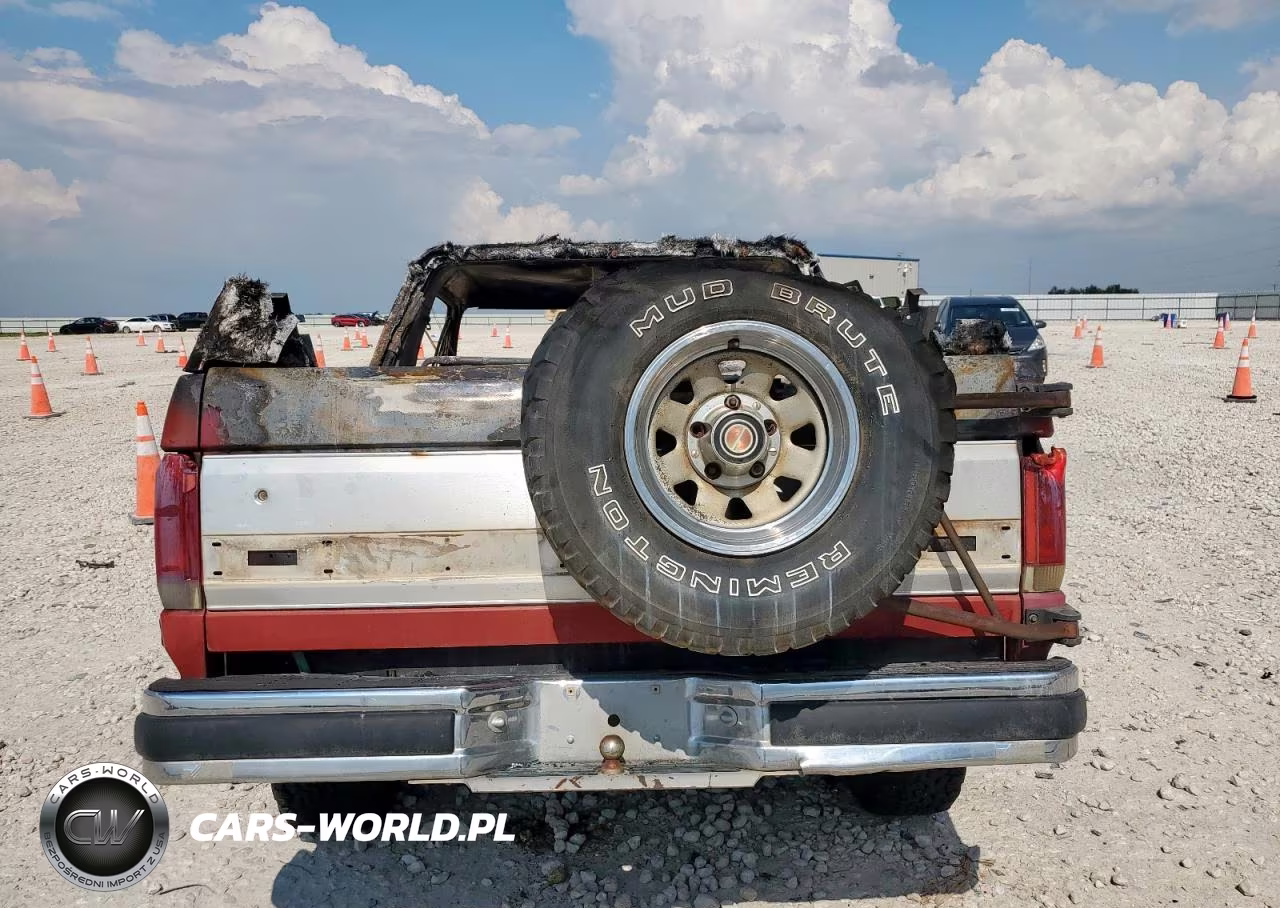 1989 Ford Bronco U100 VIN:1FMEU15N4KLA06692 - 6