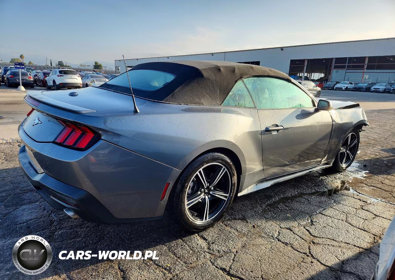 2025 Ford Mustang VIN:1FAGP8UH8S5113733 - 3