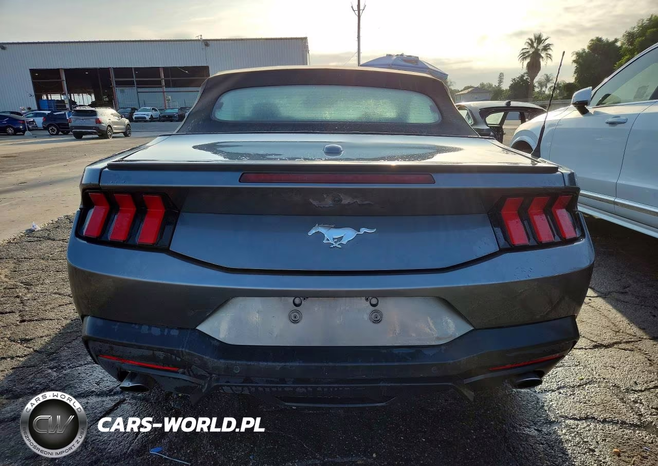 2025 Ford Mustang VIN:1FAGP8UH8S5113733 - 6