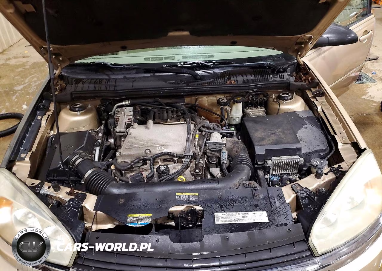 2004 Chevrolet Malibu Lt VIN:1G1ZU54864F209814 - 11