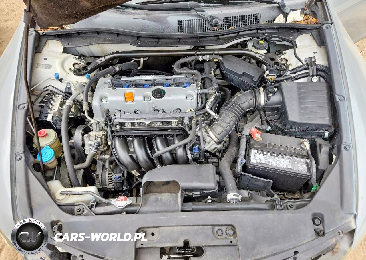 2009 Honda Accord Exl VIN:1HGCS12809A012769 - 11