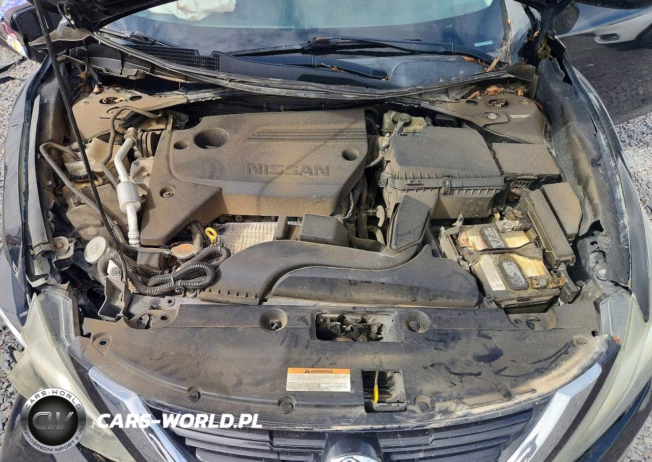2016 Nissan Altima 2.5 VIN:1N4AL3AP6GN373118 - 11