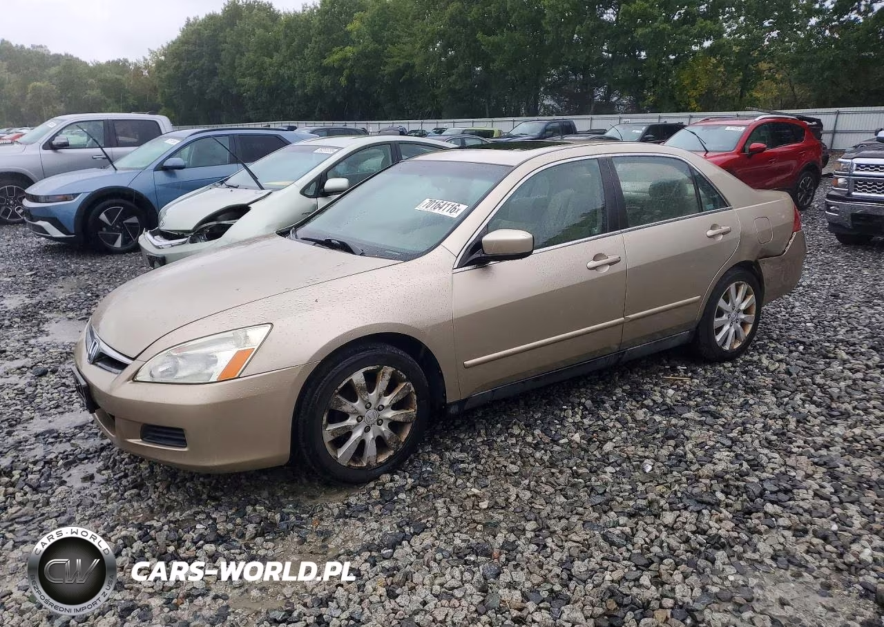2006 Honda Accord Lx VIN:1HGCM66386A041020 - 1