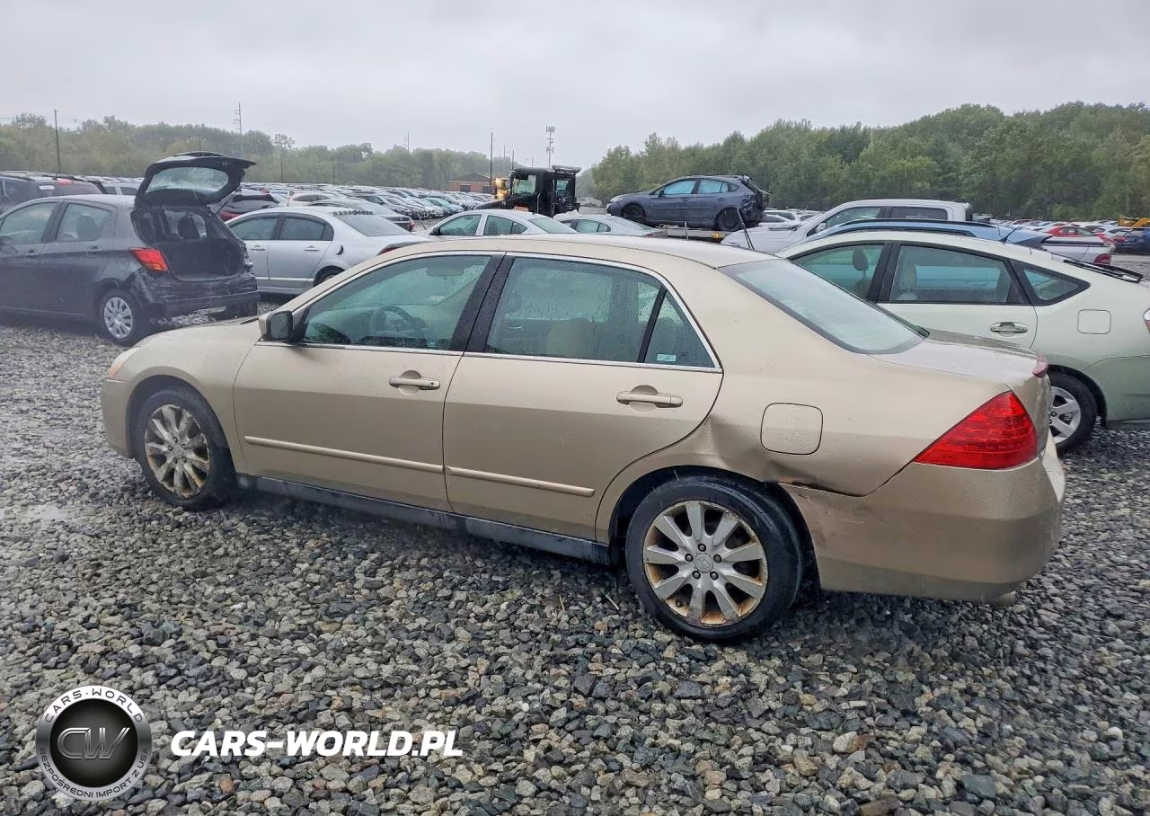 2006 Honda Accord Lx VIN:1HGCM66386A041020 - 2