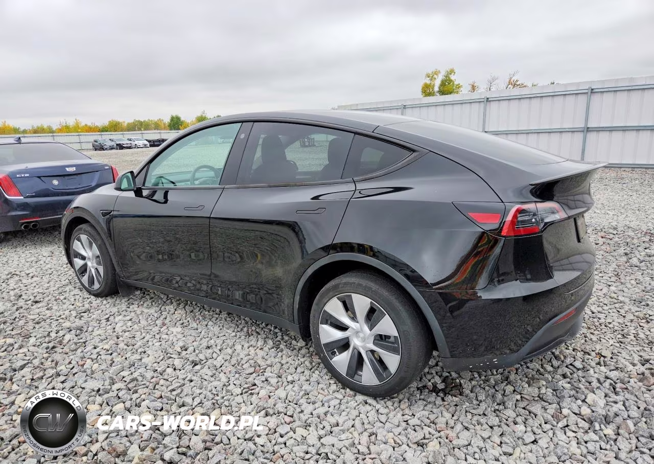 2023 Tesla Model Y VIN:7SAYGDEE1PA053344 - 2
