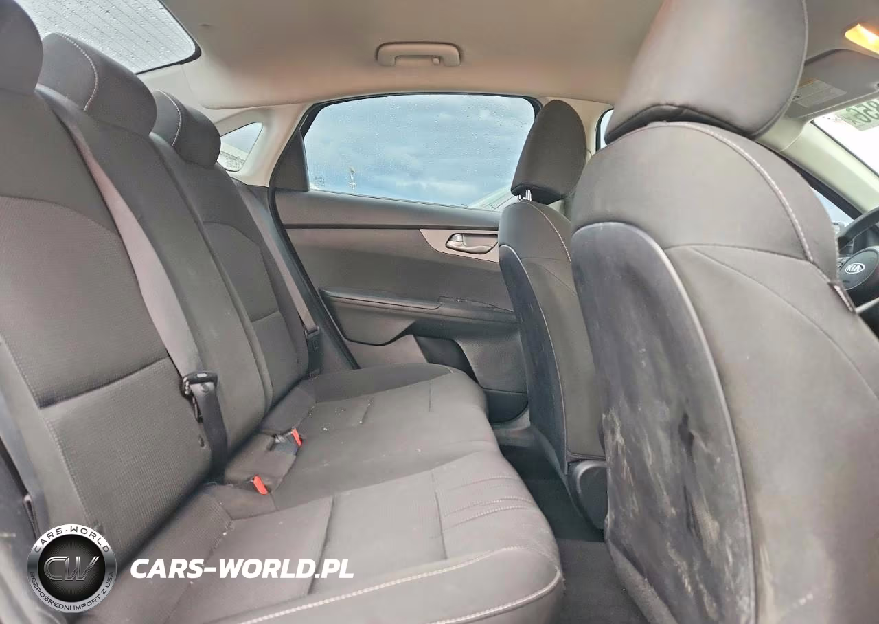 2019 Kia Forte Lxs VIN:3KPF24AD1KE137794 - 10