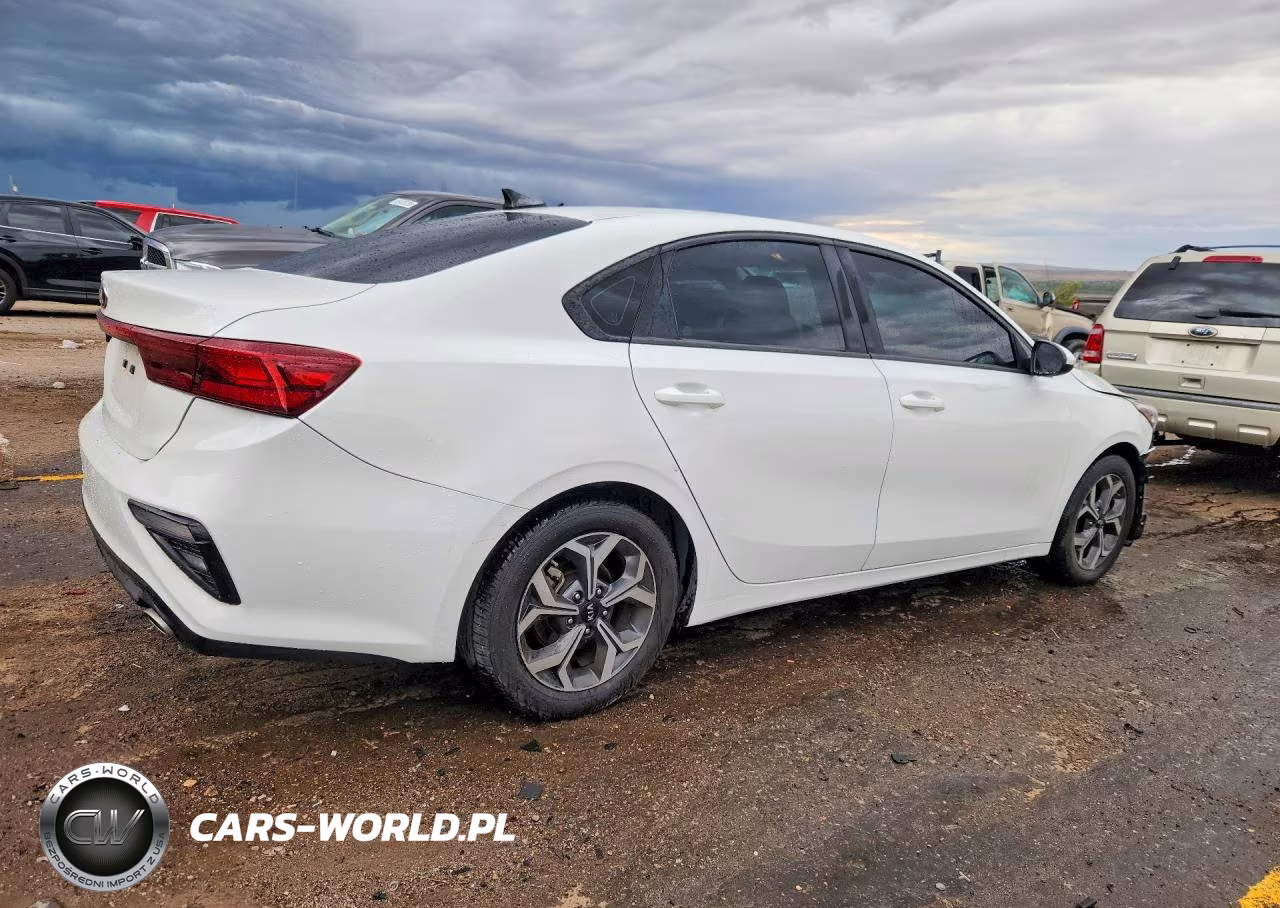 2019 Kia Forte Lxs VIN:3KPF24AD1KE137794 - 3