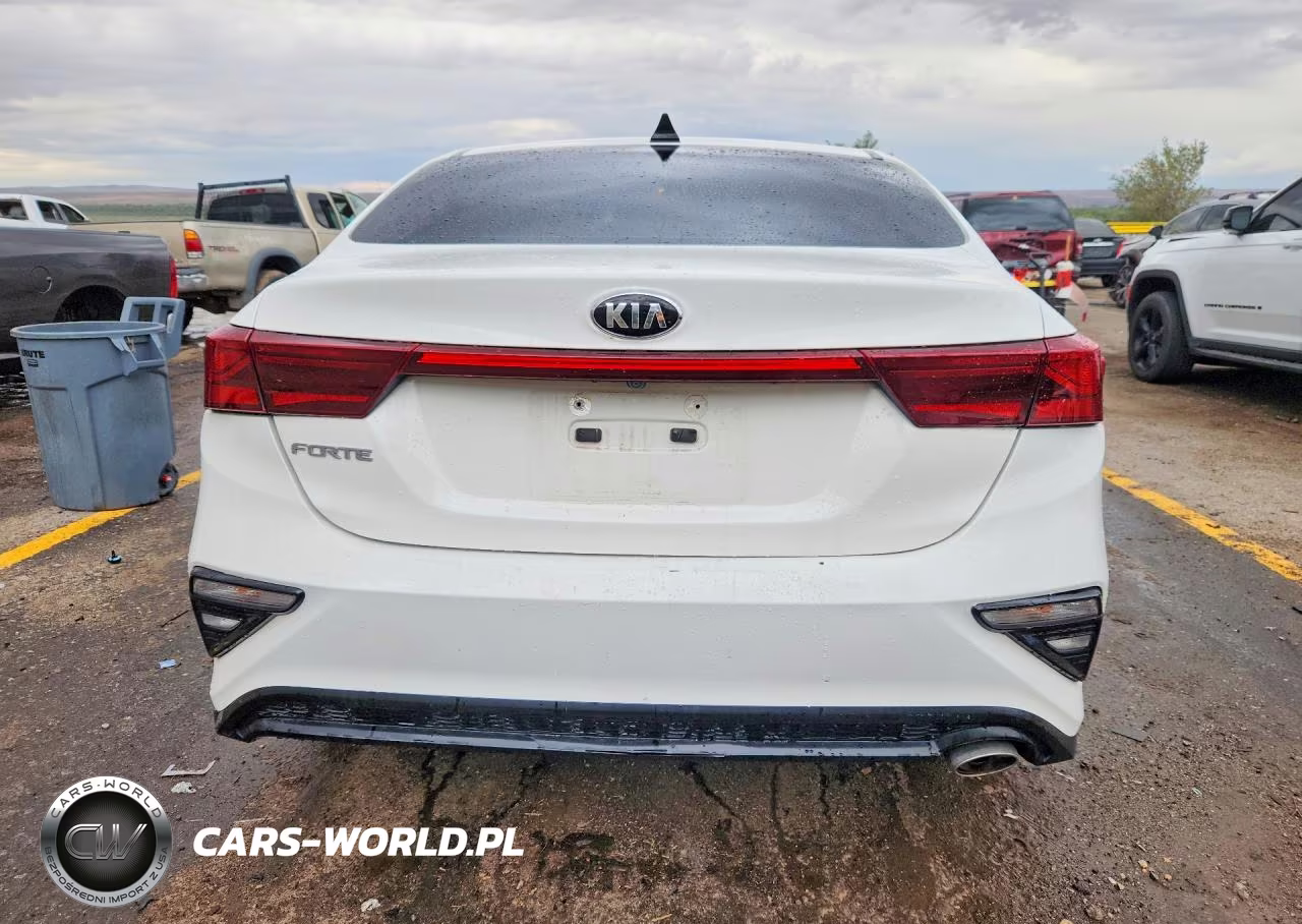 2019 Kia Forte Lxs VIN:3KPF24AD1KE137794 - 6