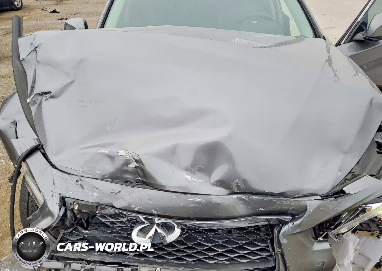 2019 Infiniti Q50 3.0T Luxe VIN:JN1EV7AR9KM551815 - 11