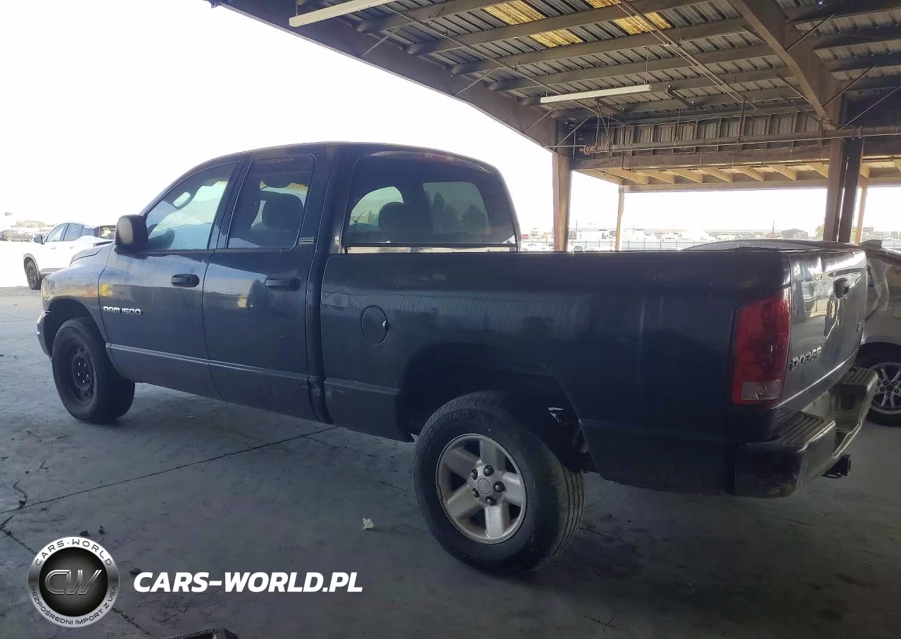 2002 Dodge Ram 1500 VIN:1B7HU18Z62J110080 - 2