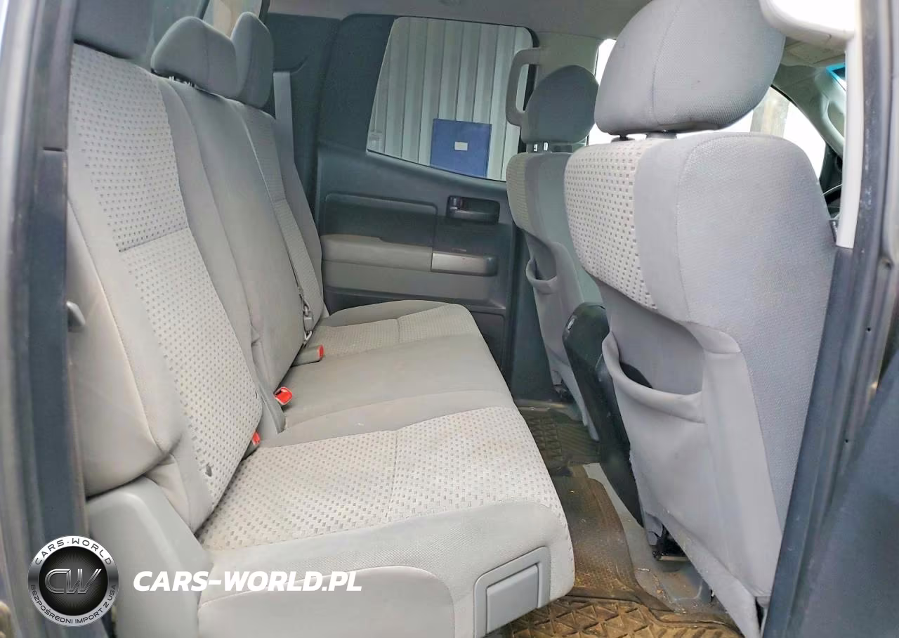 2010 Toyota Tundra Double Cab Sr5 VIN:5TFUW5F11AX111663 - 10