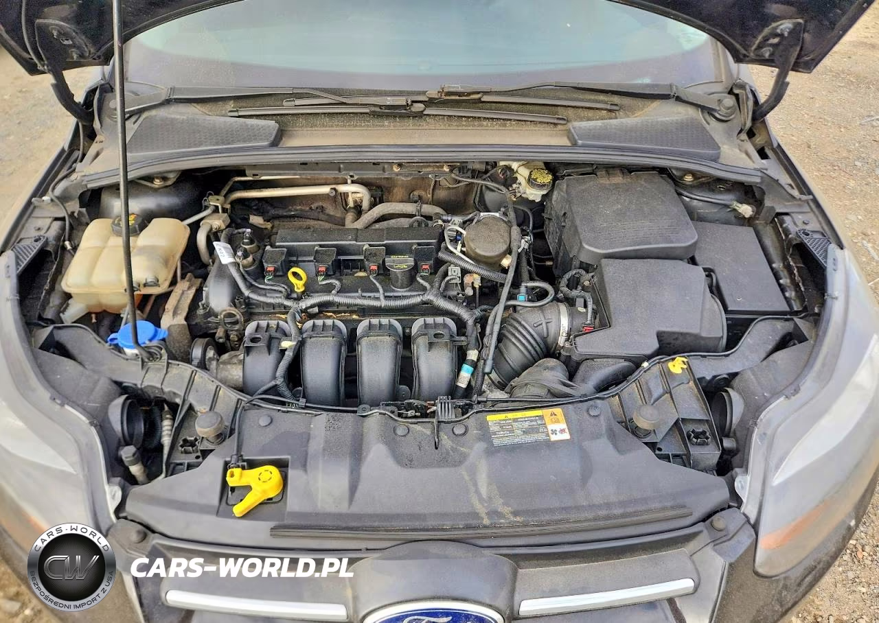 2014 Ford Focus Se VIN:1FADP3F20EL226736 - 11