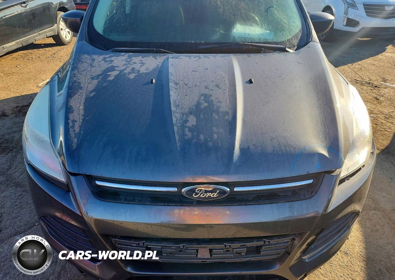 2016 Ford Escape Se VIN:1FMCU0G7XGUA51525 - 12