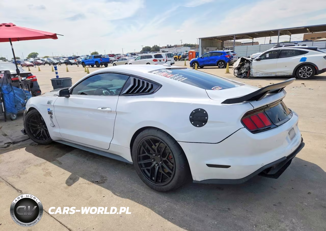 2022 Ford Mustang Gt VIN:1FA6P8CFXN5133062 - 2