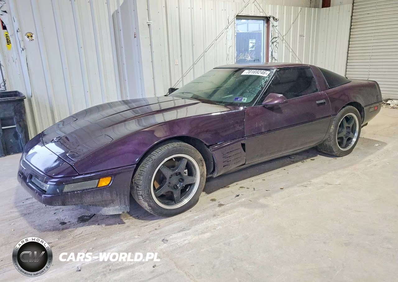 1992 Chevrolet Corvette VIN:1G1YY23P1N5103799 - 1