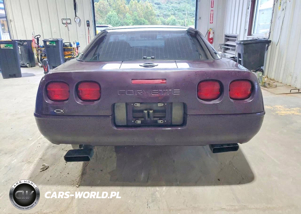 1992 Chevrolet Corvette VIN:1G1YY23P1N5103799 - 10