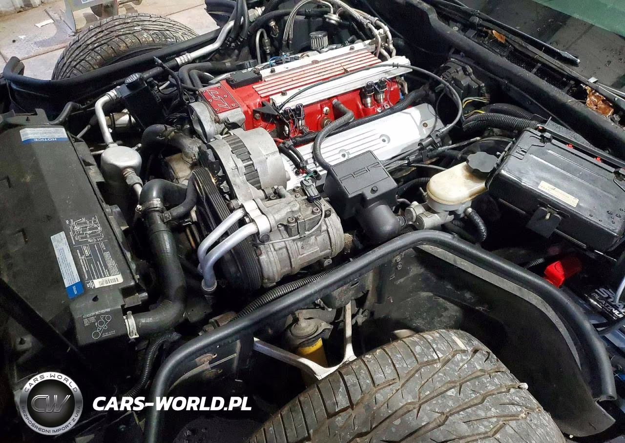 1992 Chevrolet Corvette VIN:1G1YY23P1N5103799 - 11