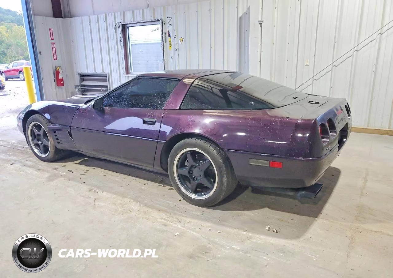 1992 Chevrolet Corvette VIN:1G1YY23P1N5103799 - 2