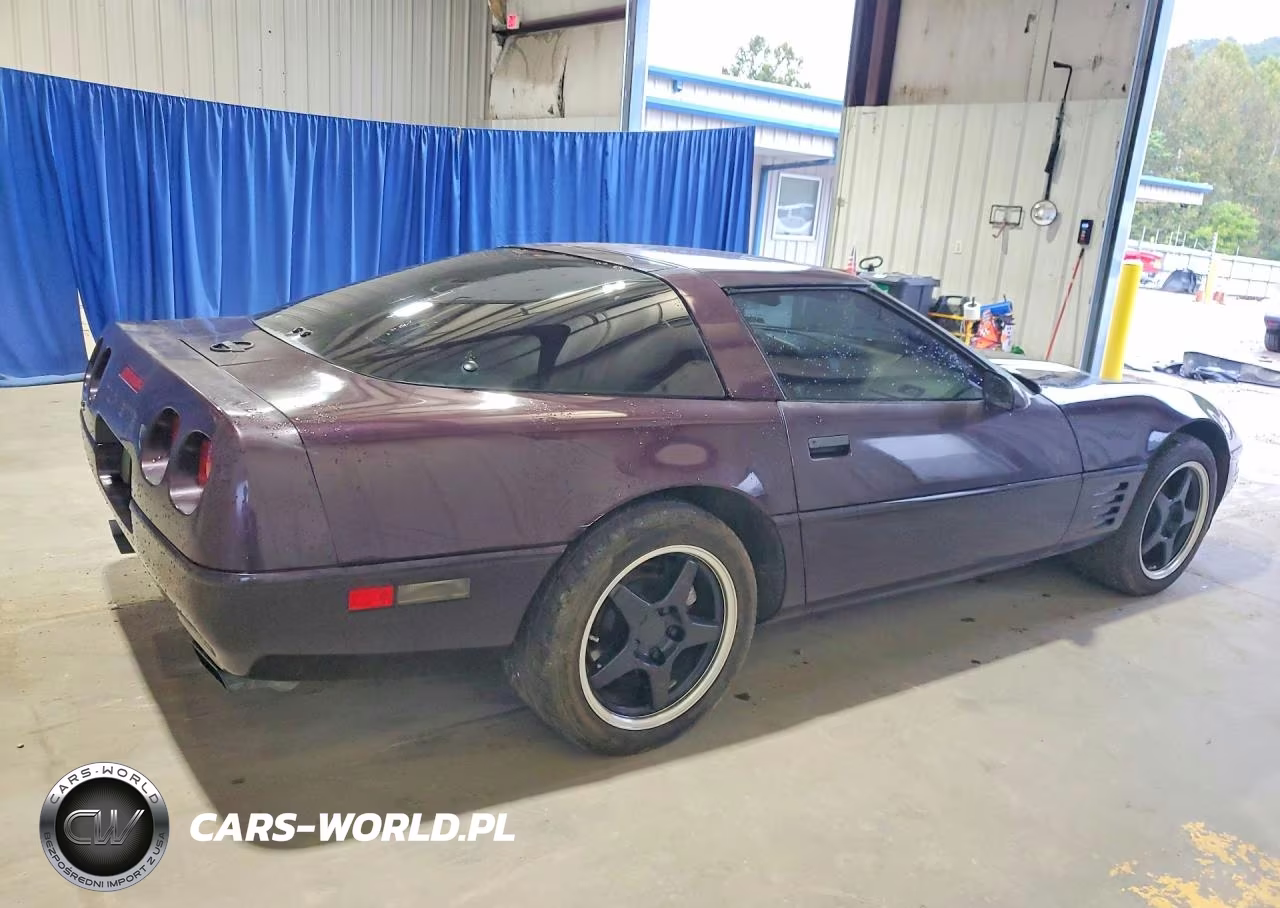 1992 Chevrolet Corvette VIN:1G1YY23P1N5103799 - 3