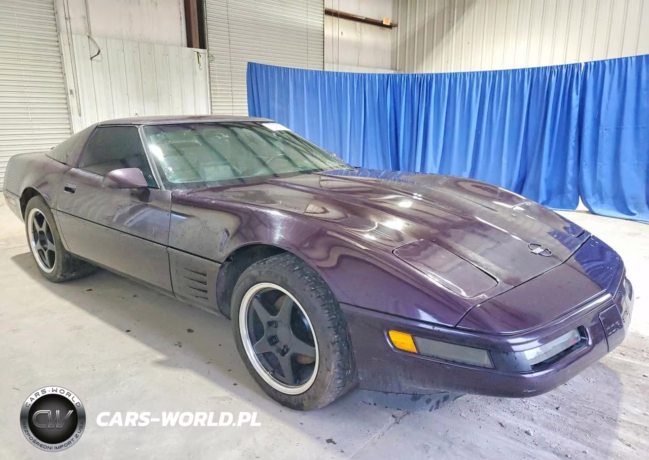 1992 Chevrolet Corvette VIN:1G1YY23P1N5103799 - 4
