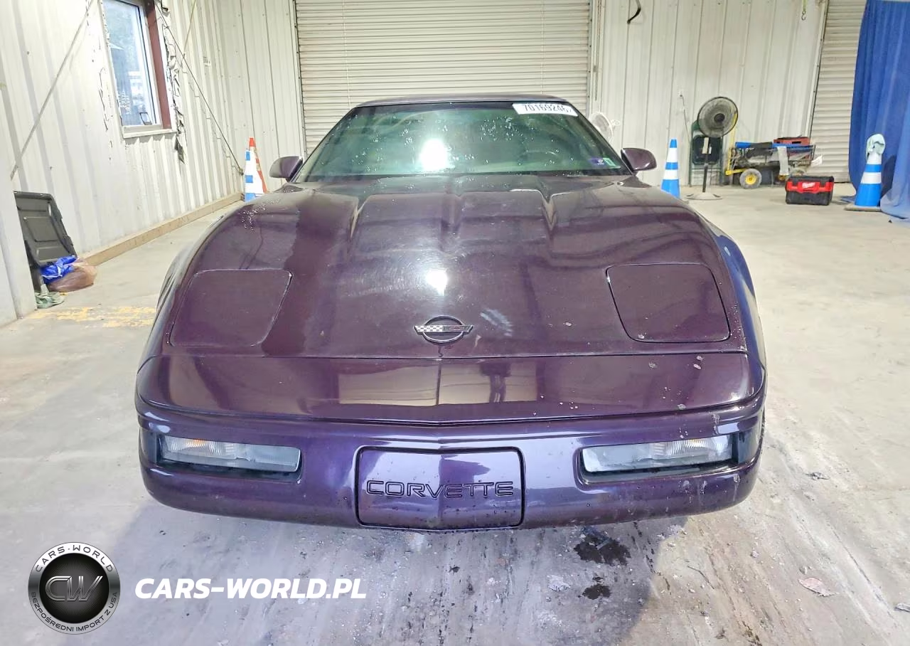 1992 Chevrolet Corvette VIN:1G1YY23P1N5103799 - 5