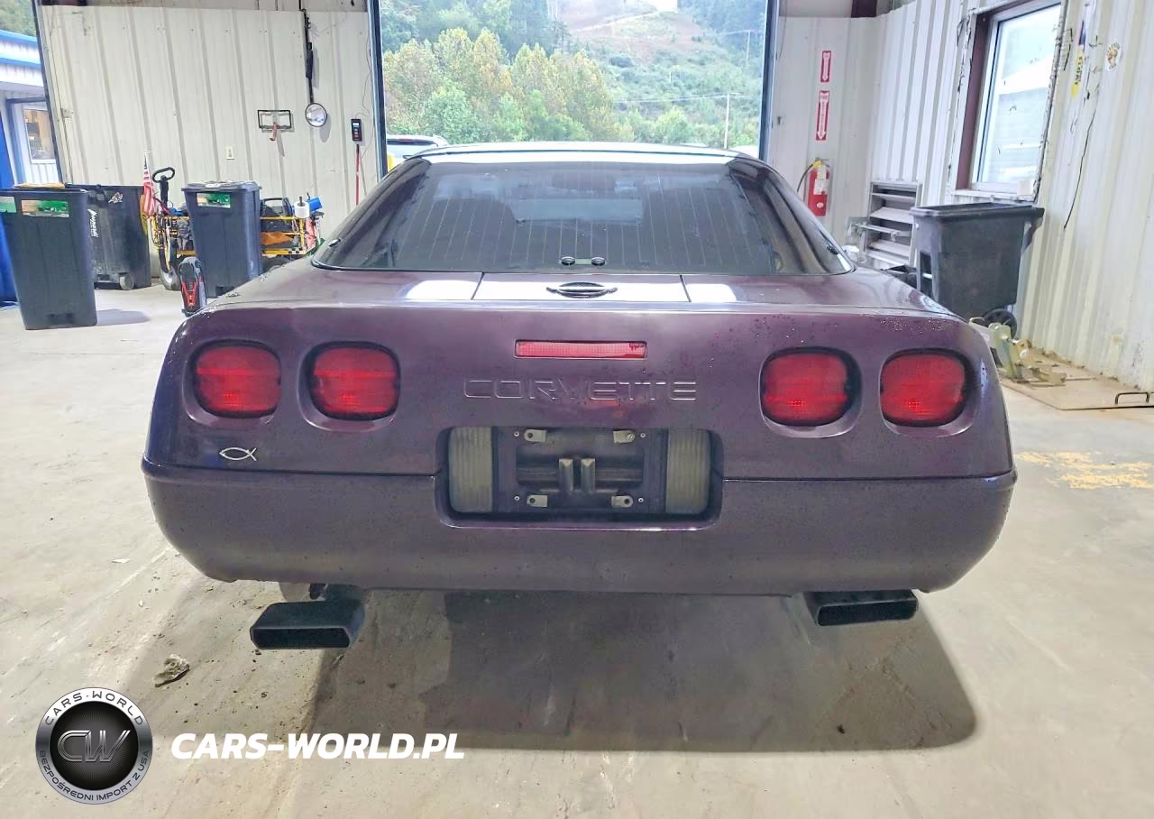 1992 Chevrolet Corvette VIN:1G1YY23P1N5103799 - 6