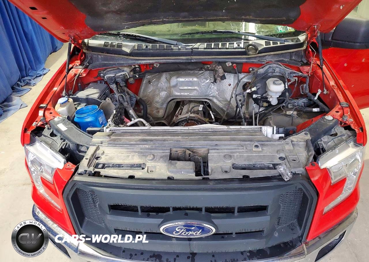 2015 Ford F150 Supercrew VIN:1FTEW1EP2FFC73513 - 11