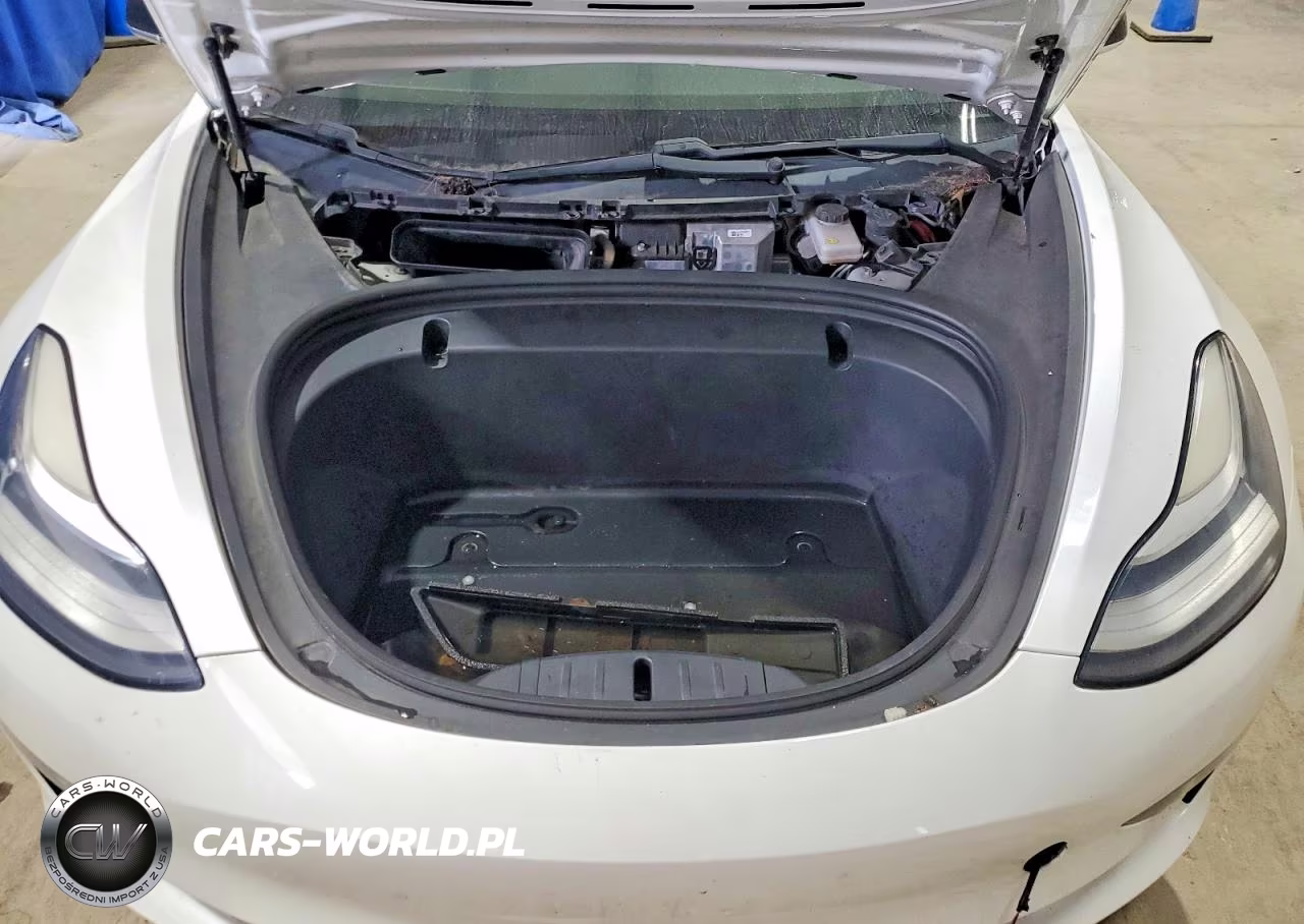 2020 Tesla Model 3 VIN:5YJ3E1EAXLF737069 - 11