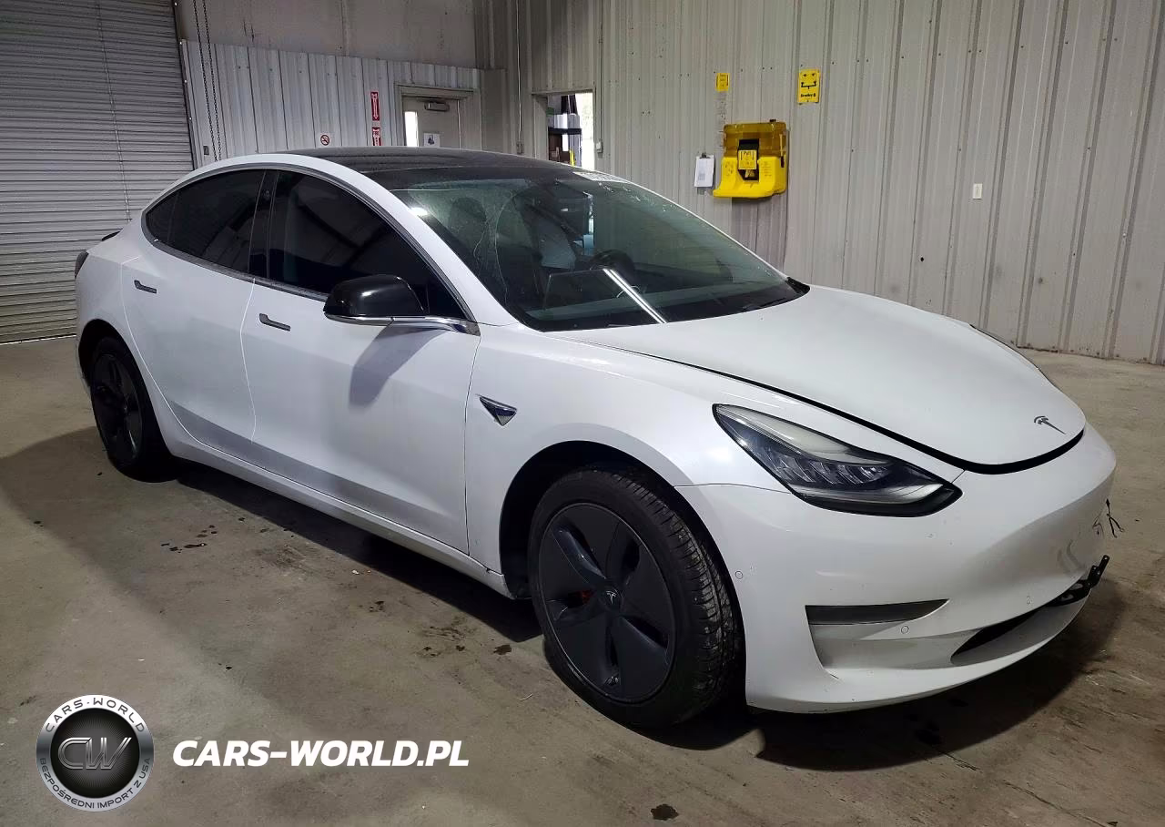 2020 Tesla Model 3 VIN:5YJ3E1EAXLF737069 - 4
