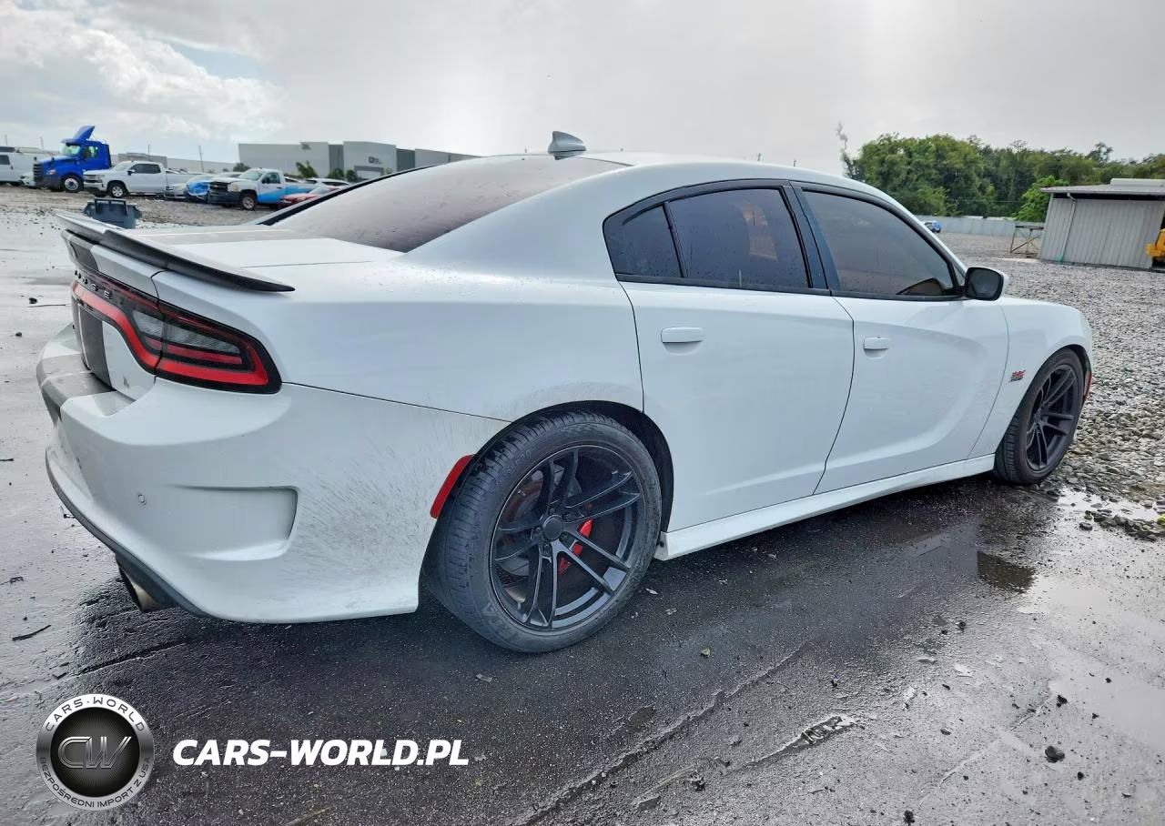 2018 Dodge Charger R-T 392 VIN:2C3CDXGJ6JH195189 - 3