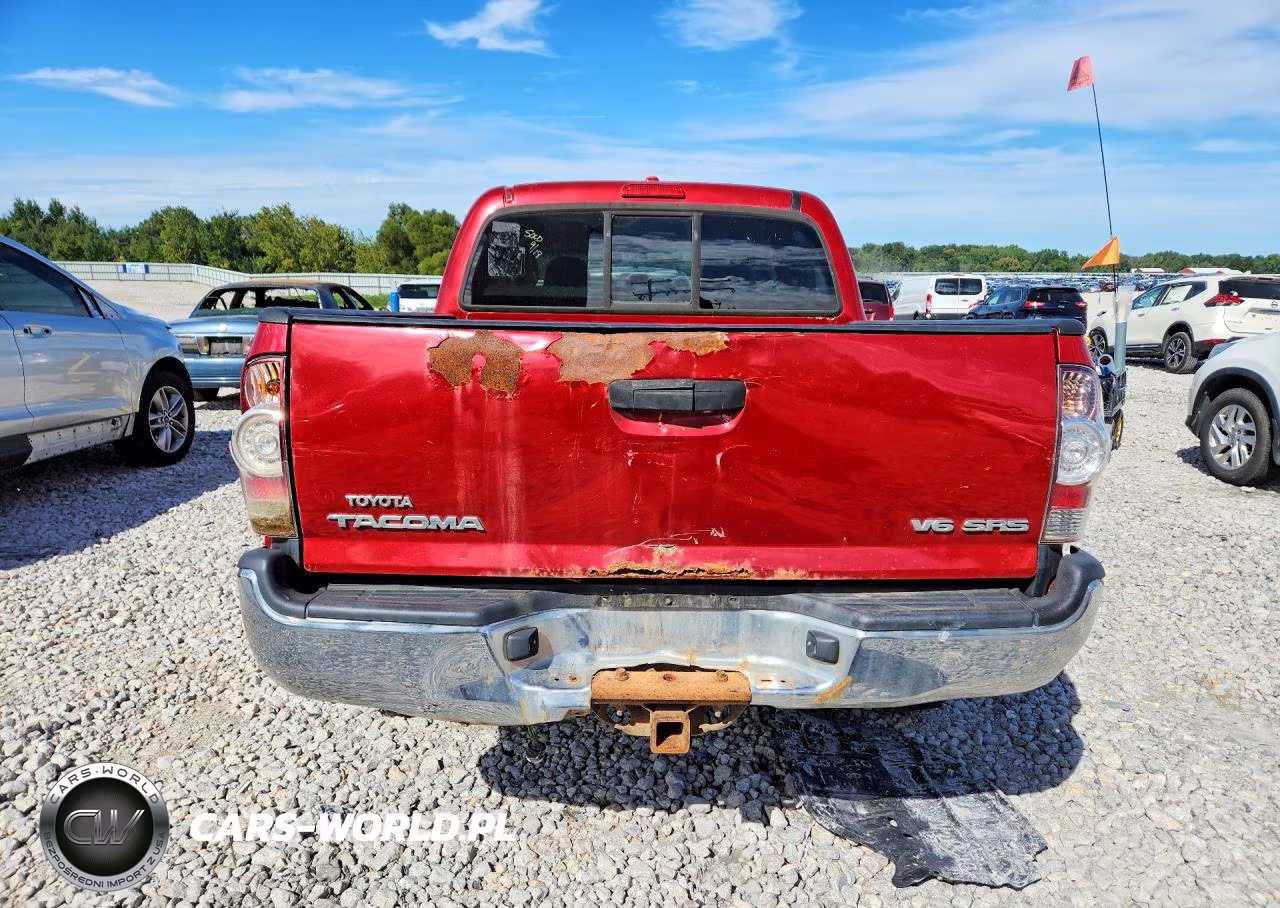 2009 Toyota Tacoma V6 VIN:5TELU42N39Z599863 - 6