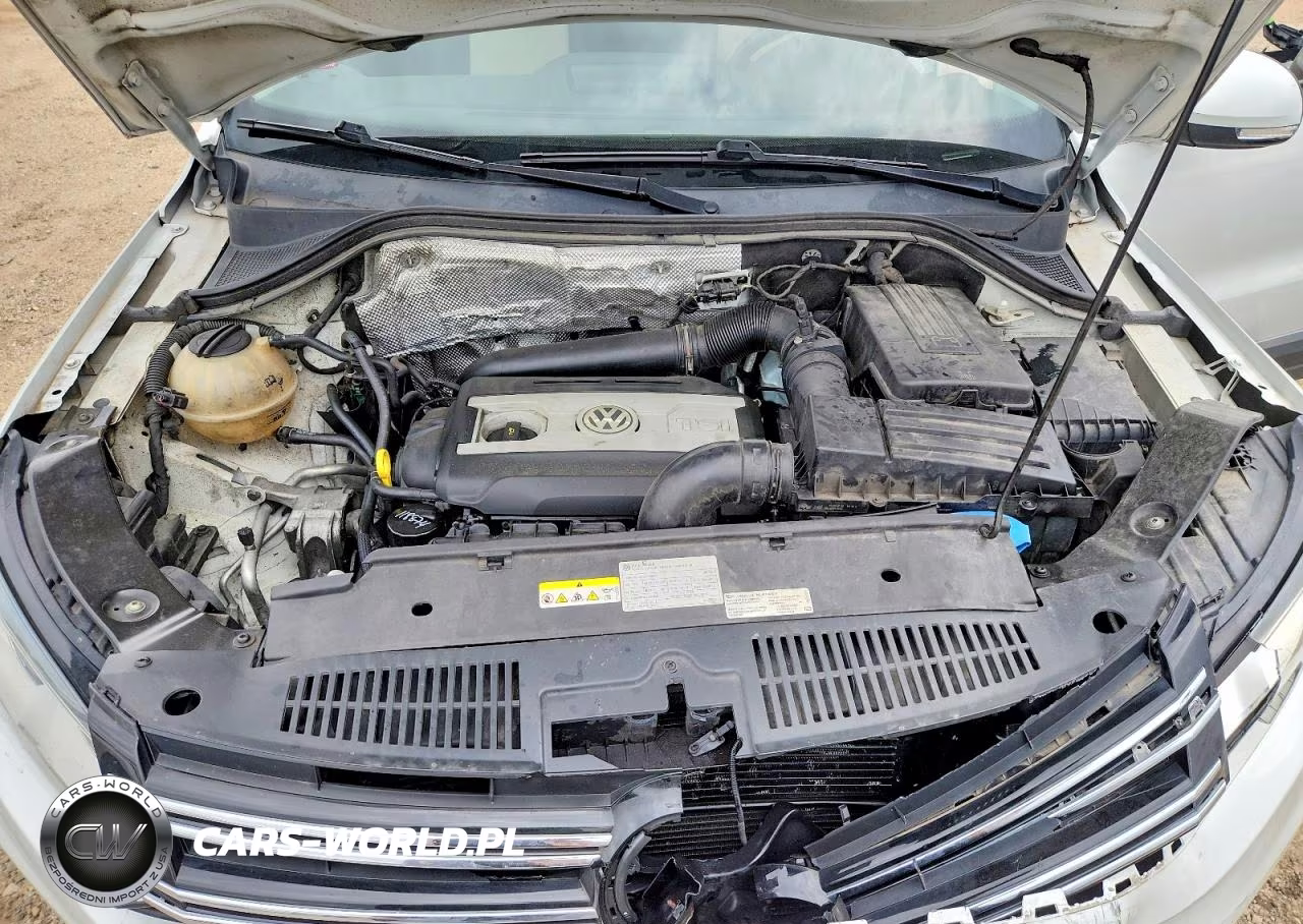 2017 Volkswagen Tiguan Wolfsburg VIN:WVGSV7AX7HW503317 - 11