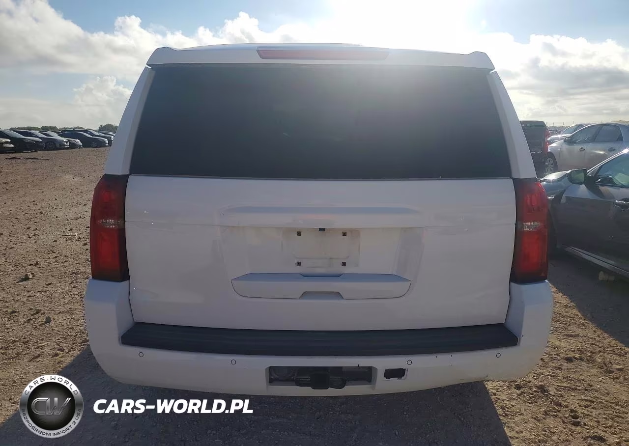2017 Chevrolet Tahoe Police VIN:1GNLCDEC0HR234877 - 6