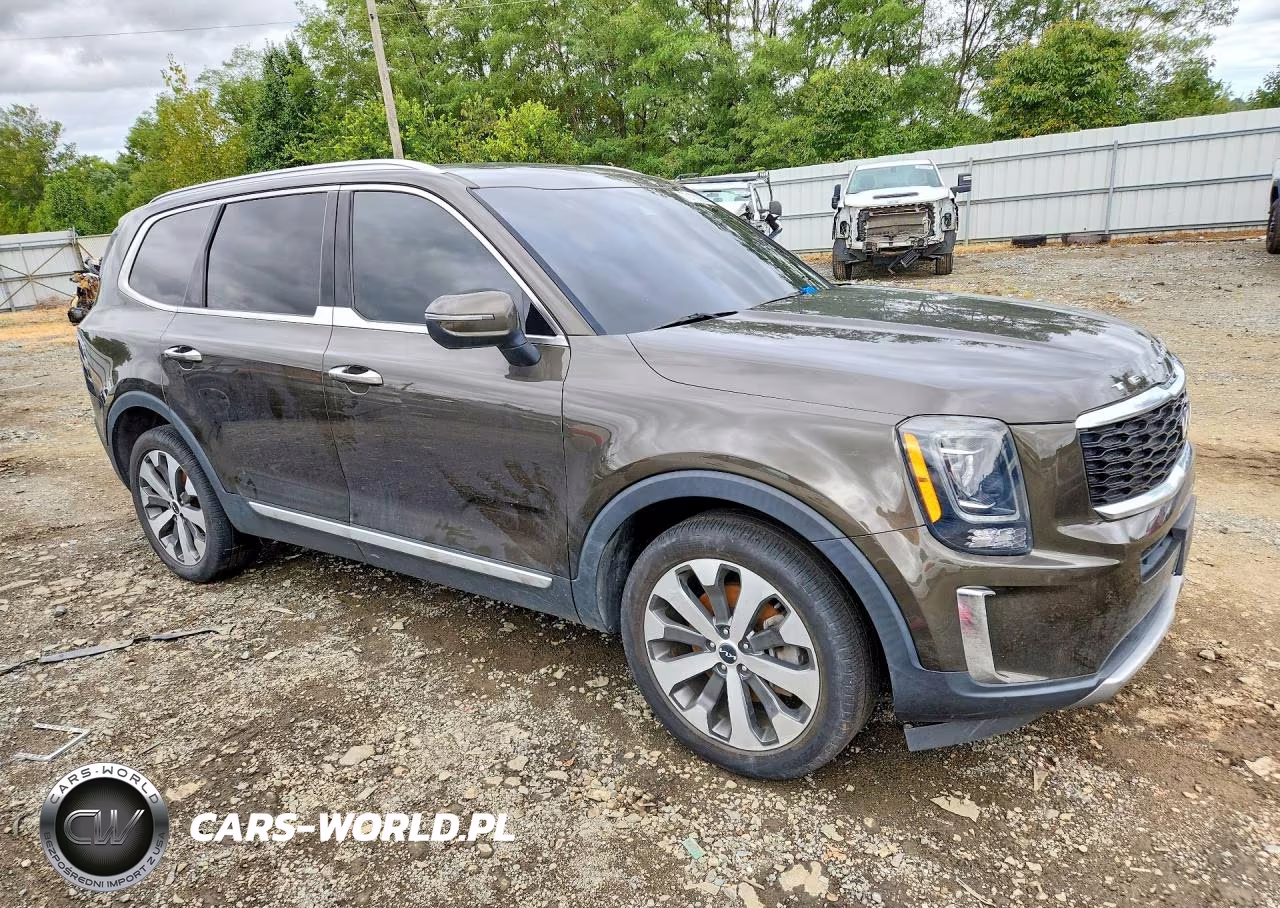 2022 Kia Telluride S VIN:5XYP6DHC8NG244581 - 4