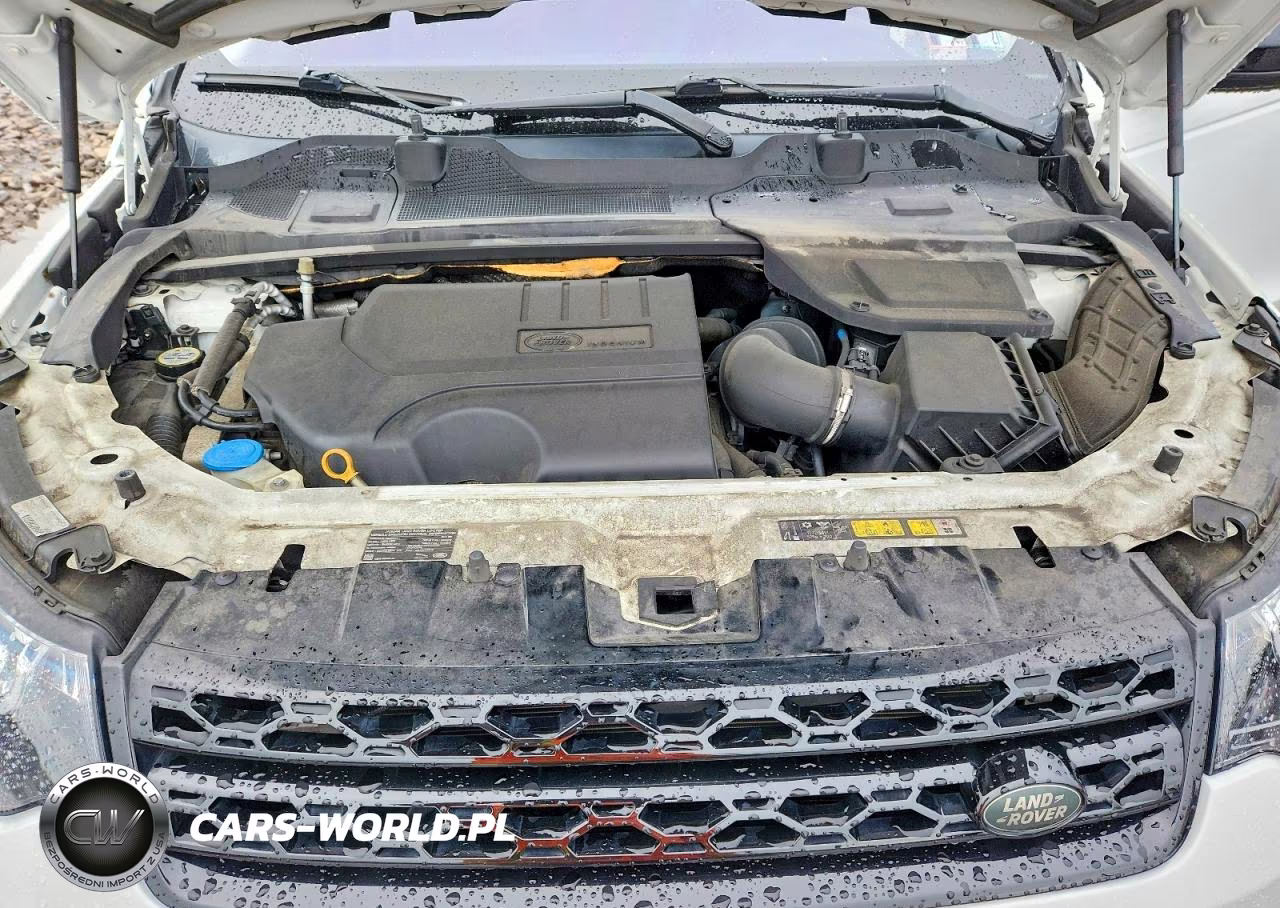 2019 Land Rover Discovery Sport Se VIN:SALCP2FX3KH819123 - 12