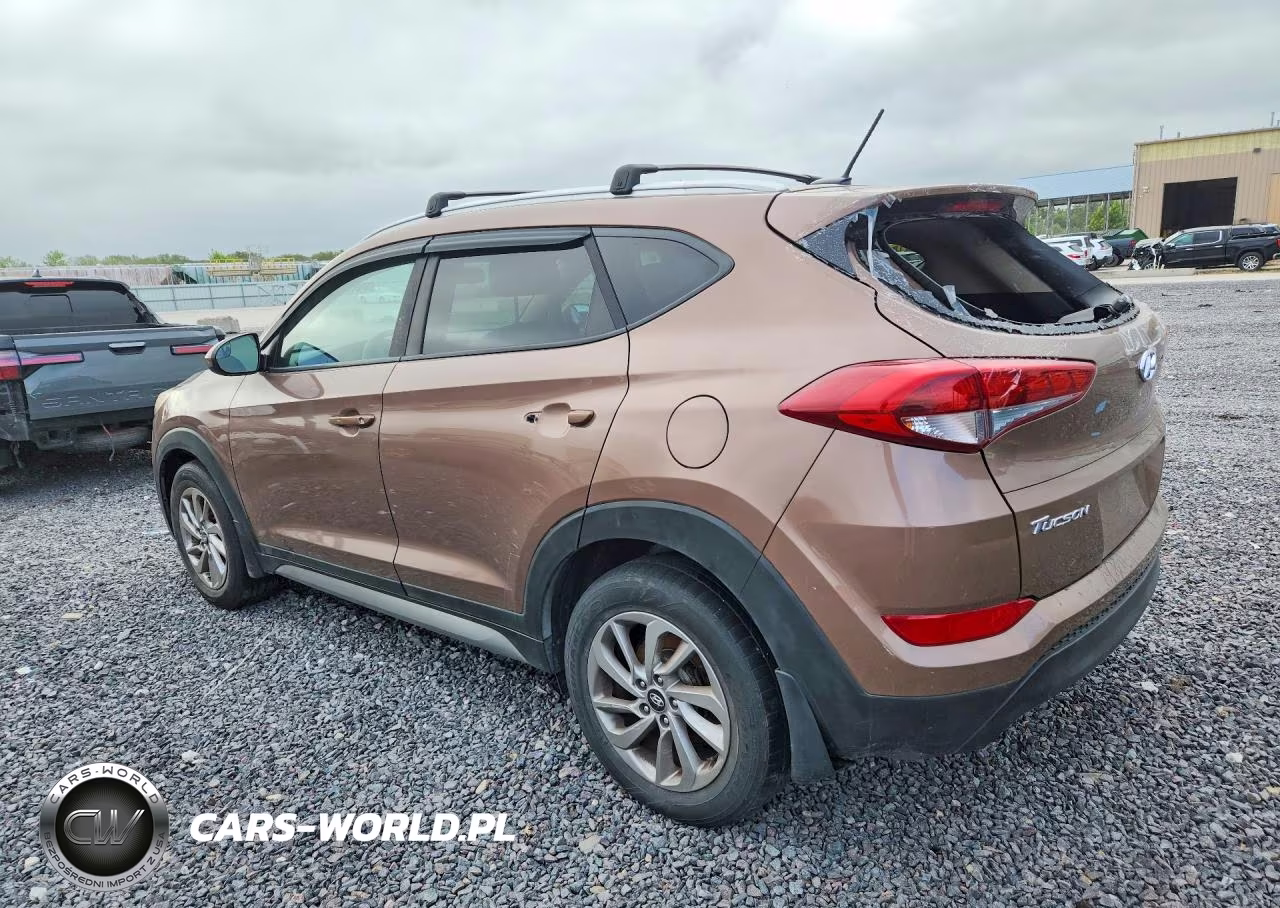 2017 Hyundai Tucson Se VIN:KM8J3CA47HU317160 - 2
