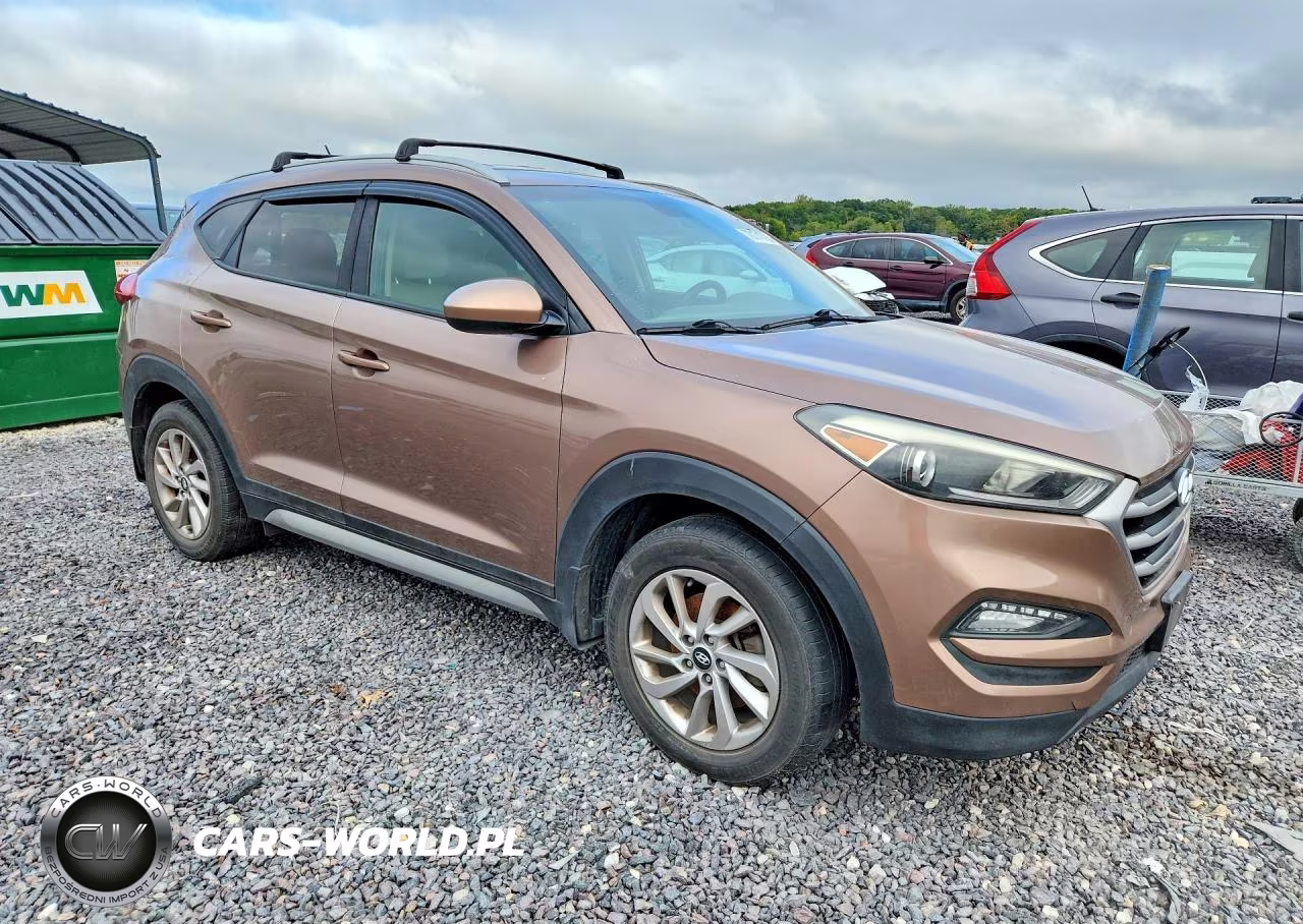 2017 Hyundai Tucson Se VIN:KM8J3CA47HU317160 - 4