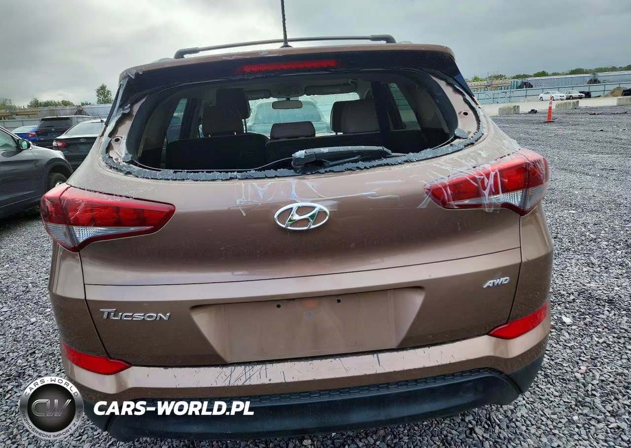 2017 Hyundai Tucson Se VIN:KM8J3CA47HU317160 - 6