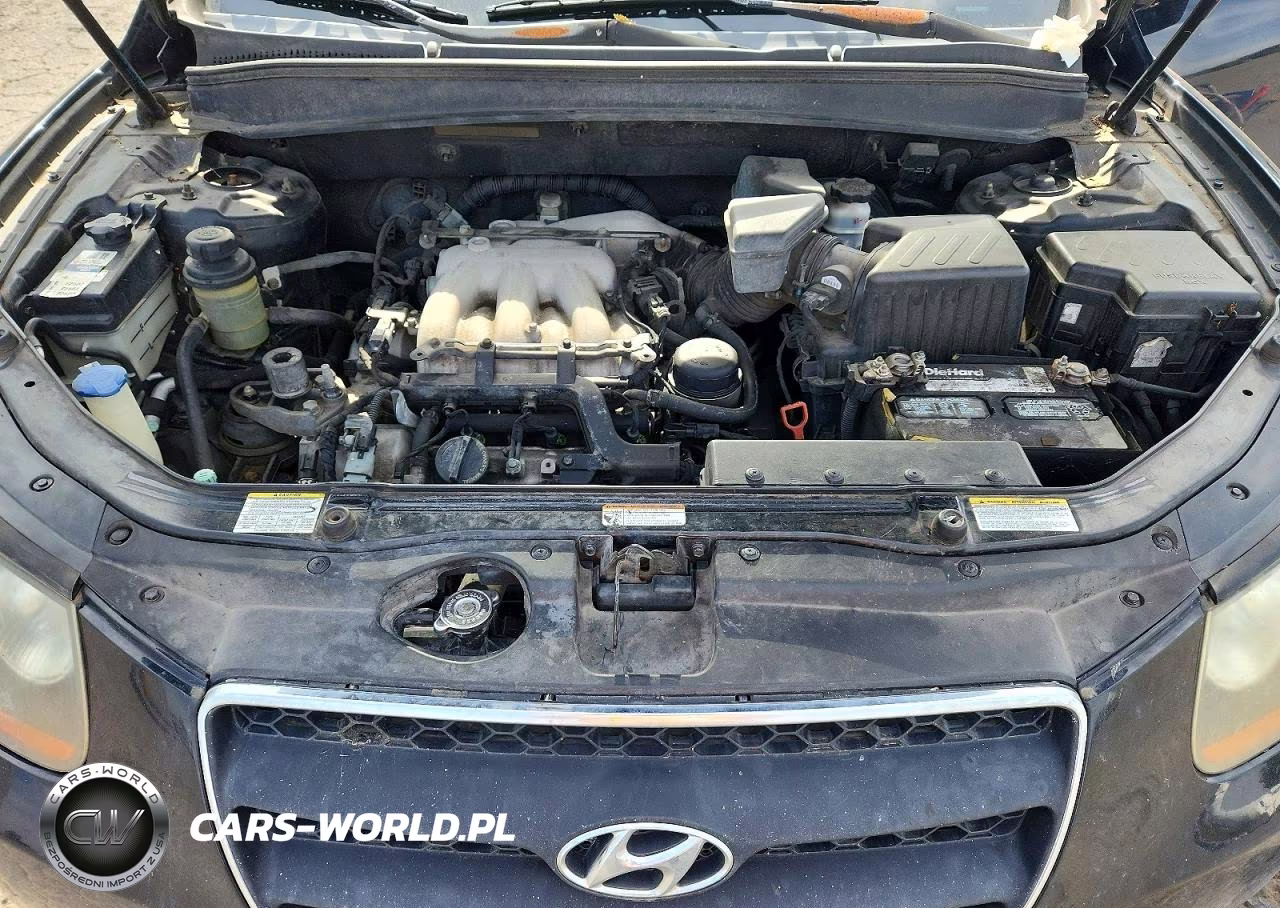 2007 Hyundai Santa Fe Se VIN:5NMSH13E67H038373 - 11