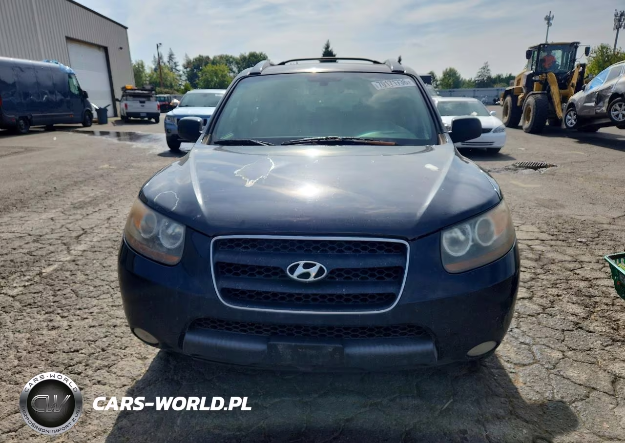 2007 Hyundai Santa Fe Se VIN:5NMSH13E67H038373 - 5
