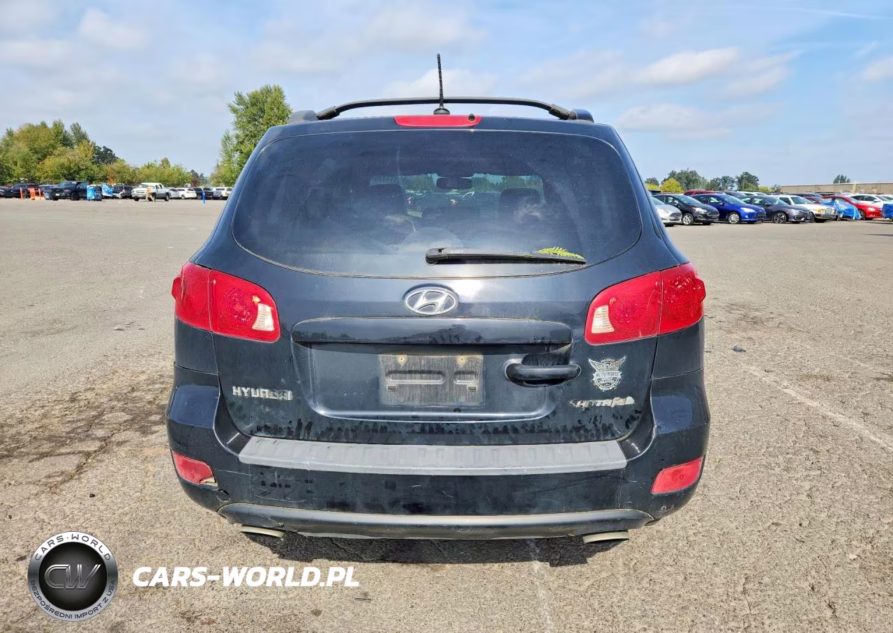 2007 Hyundai Santa Fe Se VIN:5NMSH13E67H038373 - 6