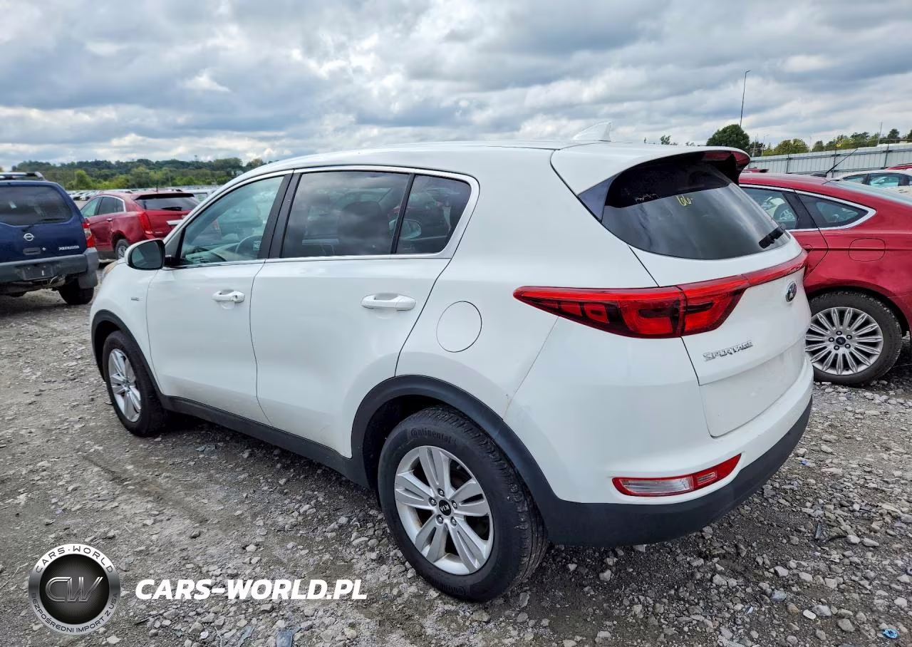 2019 Kia Sportage Lx VIN:KNDPMCAC4K7503246 - 2