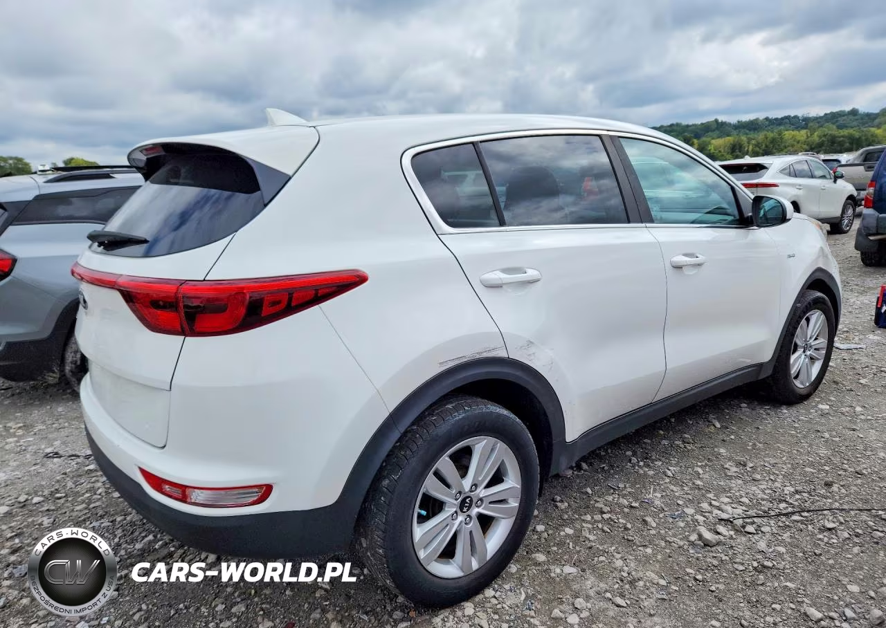 2019 Kia Sportage Lx VIN:KNDPMCAC4K7503246 - 3