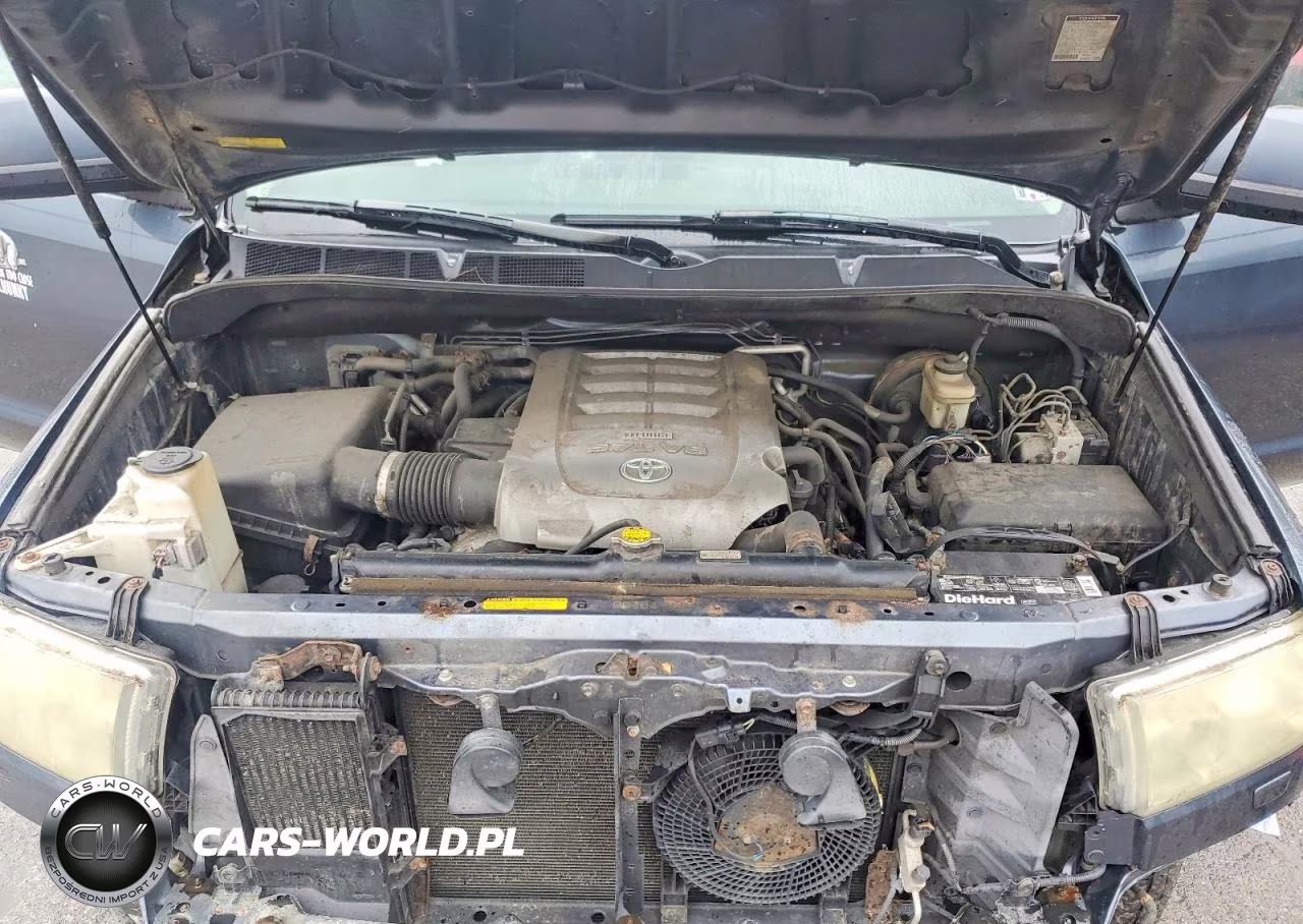 2010 Toyota Sequoia Sr5 VIN:5TDBY5G1XAS030179 - 12
