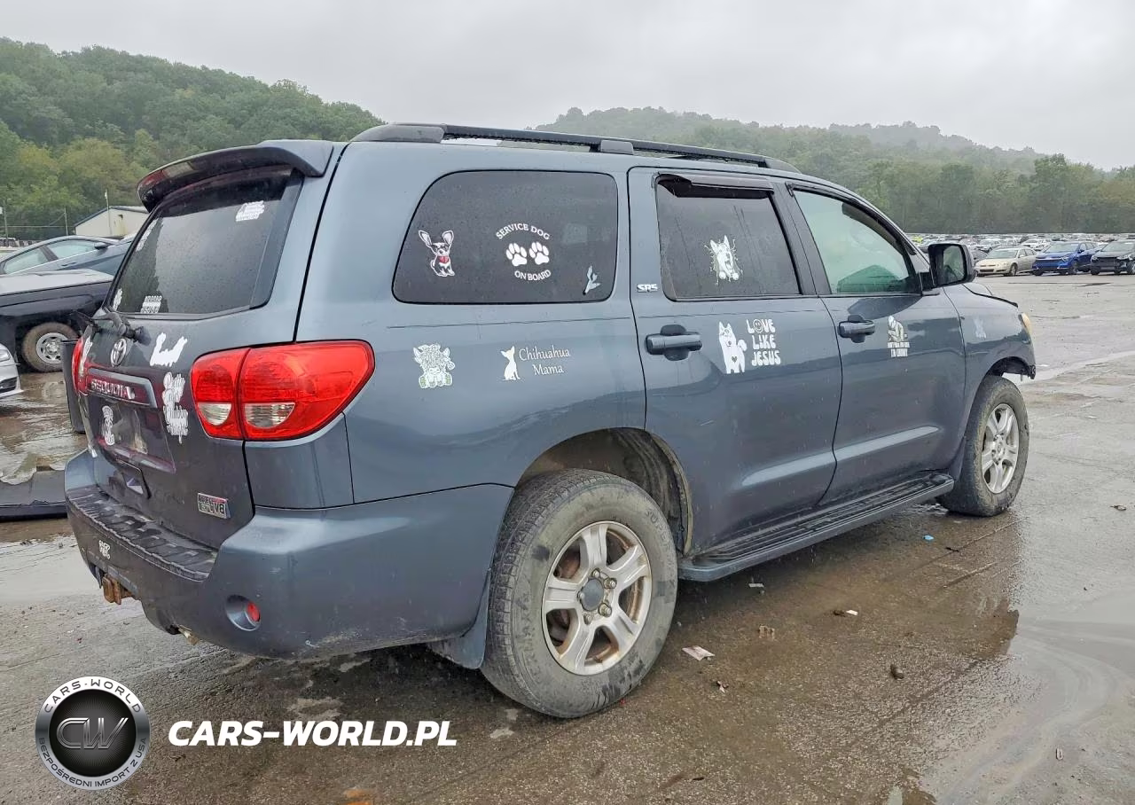 2010 Toyota Sequoia Sr5 VIN:5TDBY5G1XAS030179 - 3