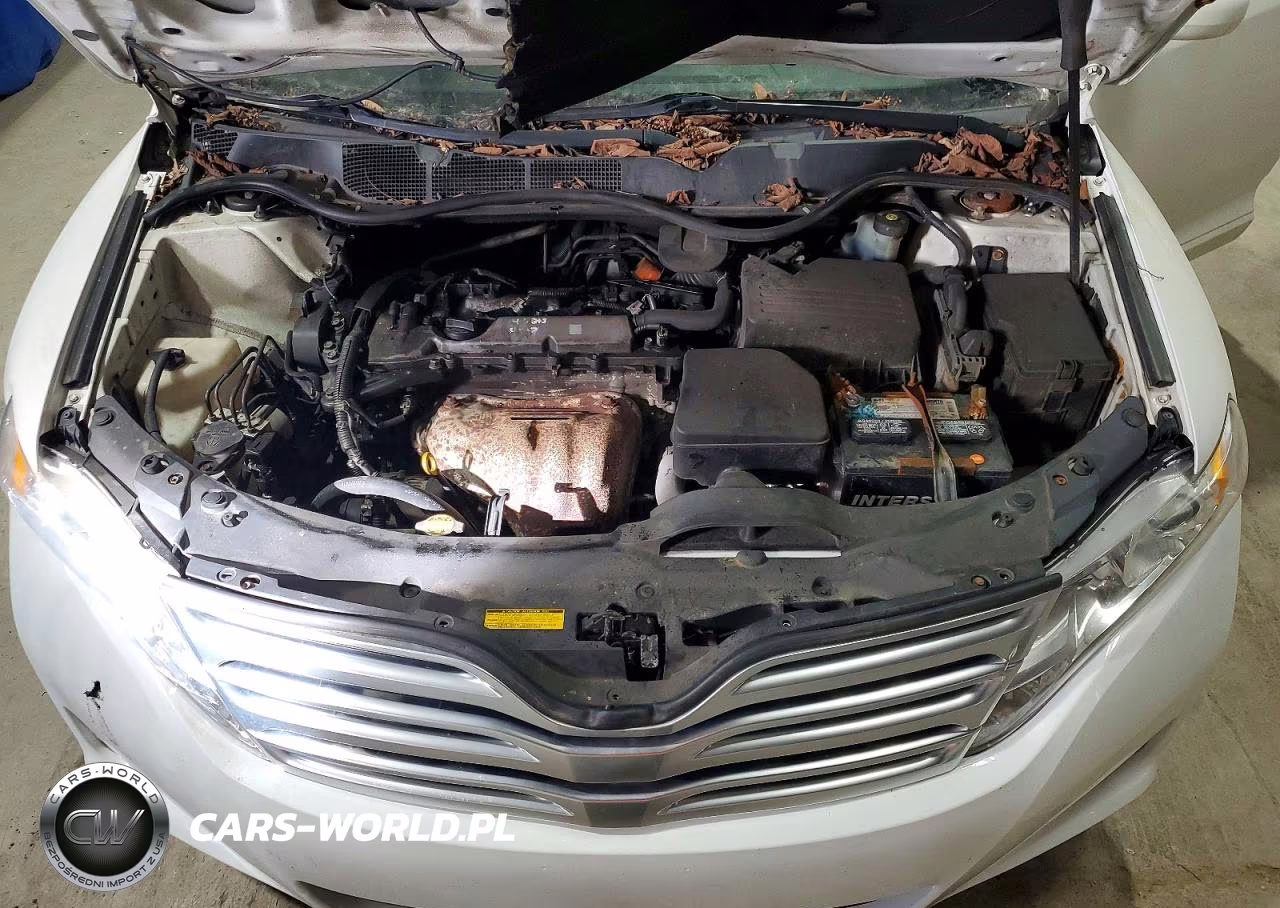 2012 Toyota Venza Xle VIN:4T3BA3BB1CU029190 - 12