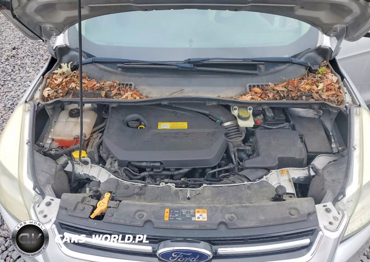 2013 Ford Escape Sel VIN:1FMCU0HX8DUA23734 - 12