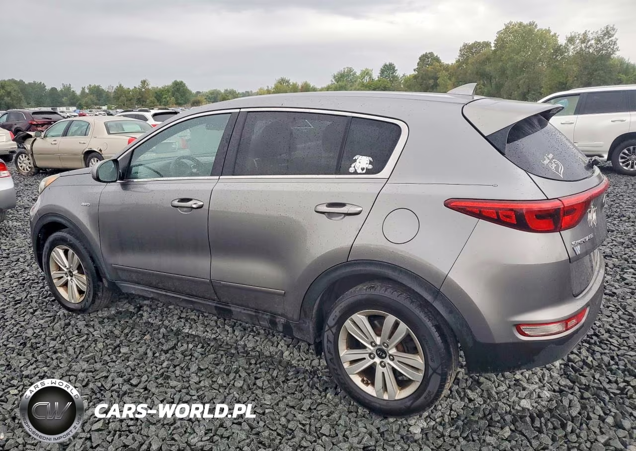 2017 Kia Sportage Lx VIN:KNDPMCAC7H7065332 - 2