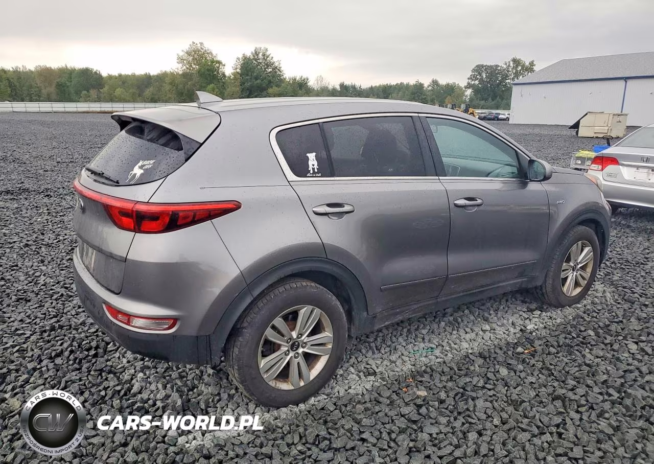 2017 Kia Sportage Lx VIN:KNDPMCAC7H7065332 - 3